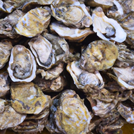 Are Raw Oysters Good For You Exploring The Health Benefits And Risks