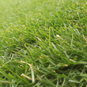 How Much Does Grass Cost Exploring The Prices Of Different Types Of