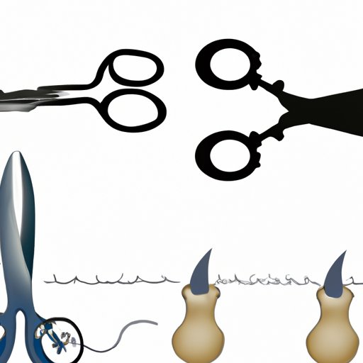 When Were Scissors Invented A Historical Exploration Of A Common