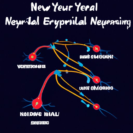 nerve signals travel