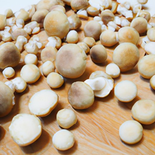 Are Baby Bella Mushrooms Good For You A Comprehensive Guide The