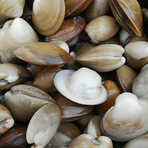 Are Clams Good For You Exploring The Health Benefits Of Eating Clams