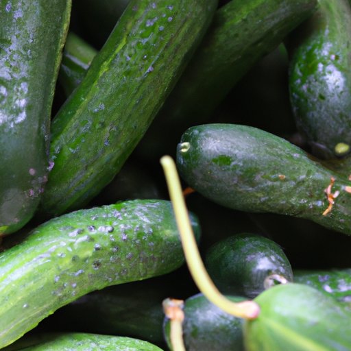 Are Cucumbers Good For You? Exploring the Health Benefits, Nutritional