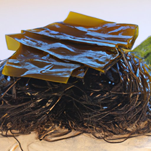 Are Kelp Noodles Healthy? Exploring The Benefits And Risks - The ...