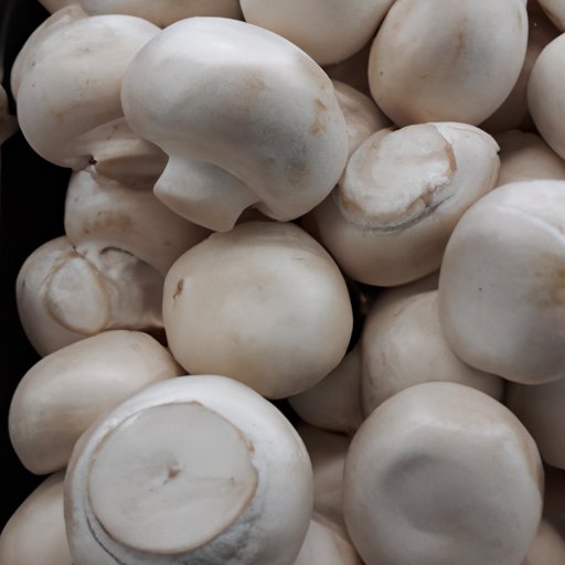 Are Mushrooms Good for You? Exploring the Potential Health Benefits and