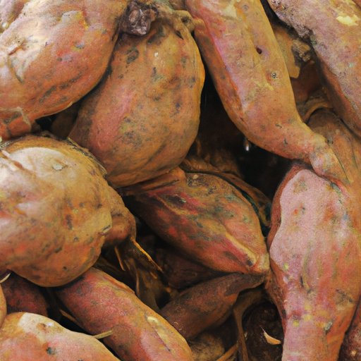 Are Yams Good for You? Exploring the Health Benefits of a Nutrient