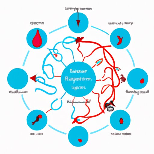 are-you-more-fertile-after-your-period-exploring-the-facts-and-myths