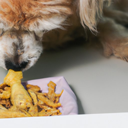 Can Dogs Eat Fried Food? What Are The Benefits & Risks - The ...