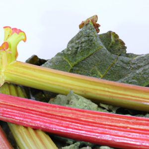 Do Deer Eat Rhubarb An InDepth Exploration The Enlightened Mindset