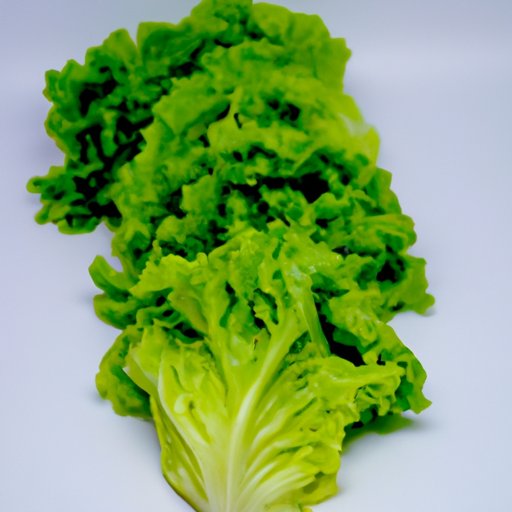 Does Lettuce Have Nutritional Value