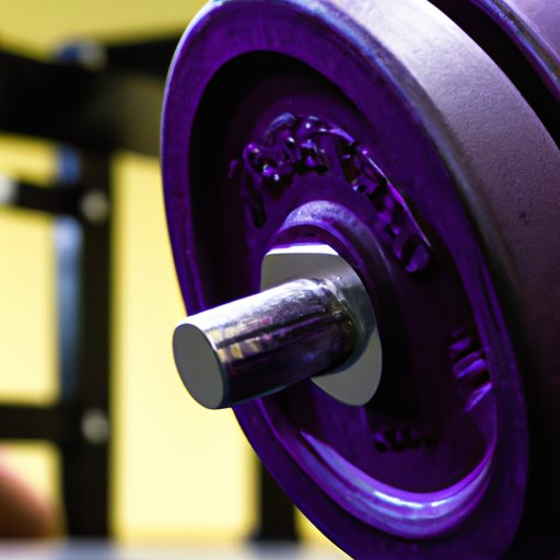 Planet Fitness Barbell Weight