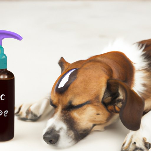 Soothing Your Dog’s Itchy Ears A Guide to Treating and Preventing Ear