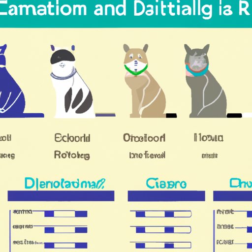 how-to-determine-the-cat-s-breed-cat-guides-cat-breeds-cat-breeds