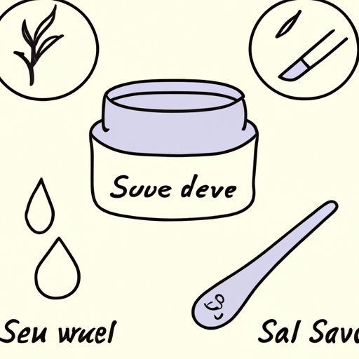 Drawing Salve 101 A Comprehensive Guide to How Does It Work? The