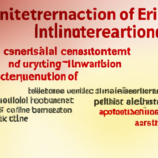 What Is Interpretation In Literature