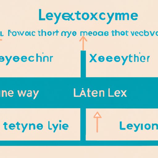 levothyroxine-how-long-after-taking-can-i-take-other-medications