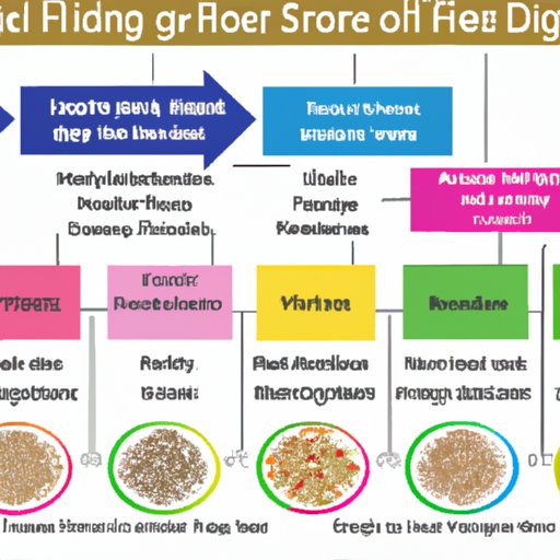 adjusting-to-a-high-fiber-diet-how-long-does-it-take-the