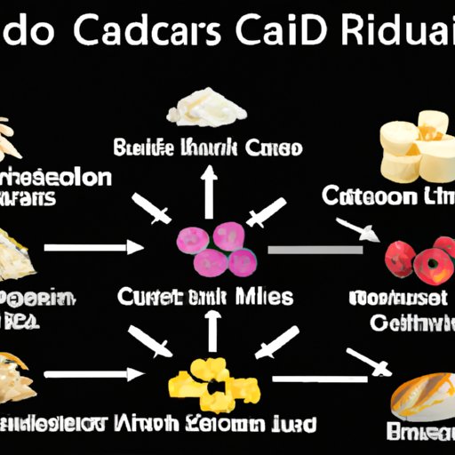 How Many Carbs Should You Have A Day Exploring The Recommended Daily Intake And Benefits Of