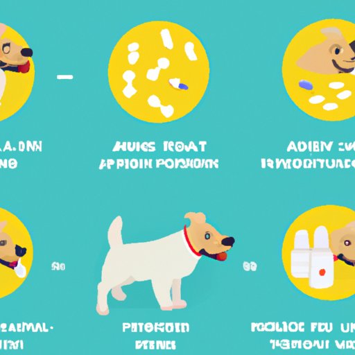 How Much Aspirin Can I Give My Dog? A Comprehensive Guide - The ...