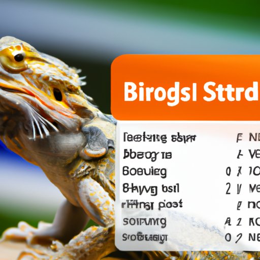 Everything You Need to Know About How Much a Bearded Dragon Costs The