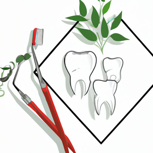 How Much Does a Teeth Cleaning Cost? A Comprehensive Guide The