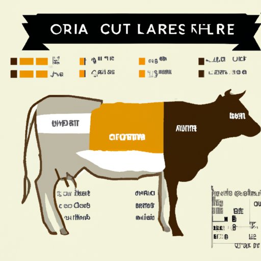 How Much Does Half a Cow Cost? Exploring Prices, Feeding Expenses