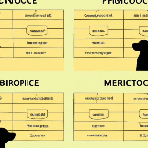 What Does It Cost To Get A Dog Microchipped