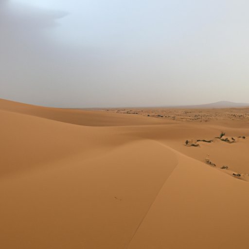 How Much Rain Does the Sahara Desert Get per Year? - The Enlightened ...