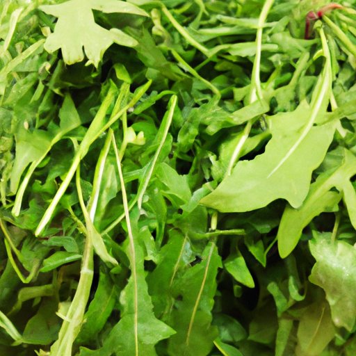 How to Eat Dandelion Greens – Health Benefits & Recipes - The ...