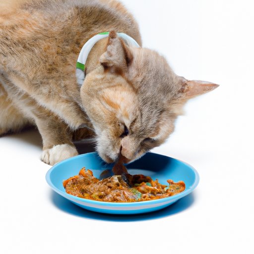 10-dangerous-human-foods-you-should-avoid-giving-your-cat-toxic