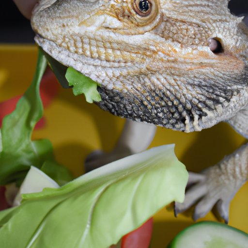 how-to-get-your-bearded-dragon-to-eat-greens-variety-chopping