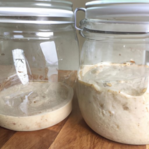 How To Make Sourdough Starter From Scratch A Step By Step Guide The Enlightened Mindset 9728