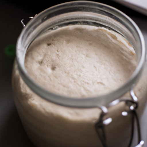 How To Make Sourdough Starter From Scratch A Step By Step Guide The Enlightened Mindset