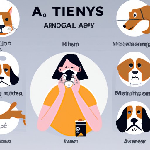 how-to-prevent-dog-allergy-symptoms-a-comprehensive-guide-the