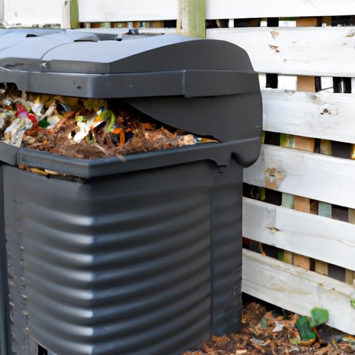 How to Start a Composting Bin: Step-by-Step Instructions, Different ...