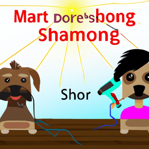 start-a-dog-grooming-business-extra-income-over-55