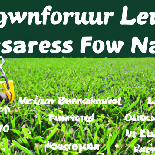 starting-a-lawn-business-in-florida-essential-steps-benefits-the