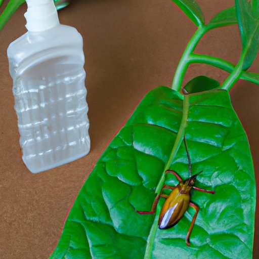 how-to-stop-bugs-eating-plants-8-solutions-the-enlightened-mindset