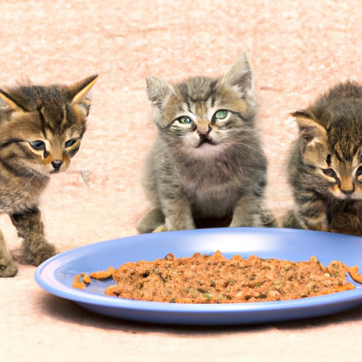 How to Stop Kittens from Eating Litter Tips, Advice and Solutions