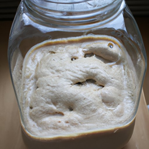 how-to-tell-if-sourdough-starter-is-bad-a-comprehensive-guide-the