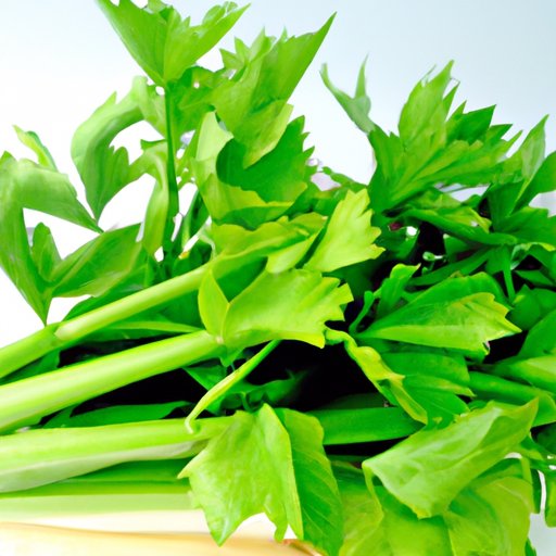 Is Celery Healthy? Exploring the Nutritional Benefits, Weight Loss ...