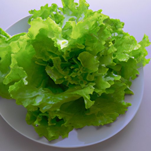 Is Lettuce Healthy? Exploring the Nutritional Benefits and Health