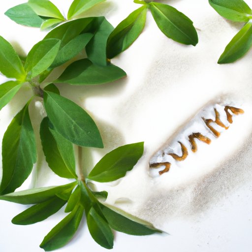 is-stevia-healthier-than-sugar-exploring-the-nutritional-benefits-and