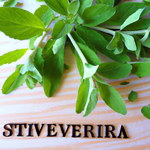 Is Stevia Healthy Exploring The Pros And Cons Of This Natural   Is Stevia Healthy 