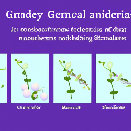 What Did Gregor Mendel Contribute To Science Exploring The Father Of Genetics The Enlightened 