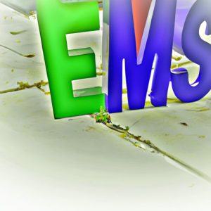 What Does EMS Stand For in Science? - The Enlightened Mindset