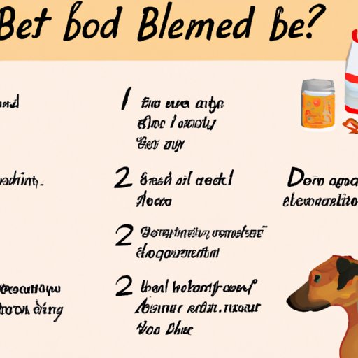 what-is-a-bland-diet-for-dogs-exploring-benefits-basics-necessity