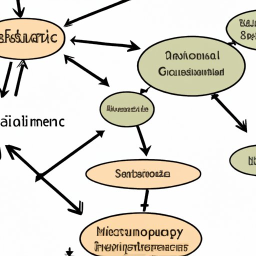 exploring-what-is-a-system-in-environmental-science-the-enlightened