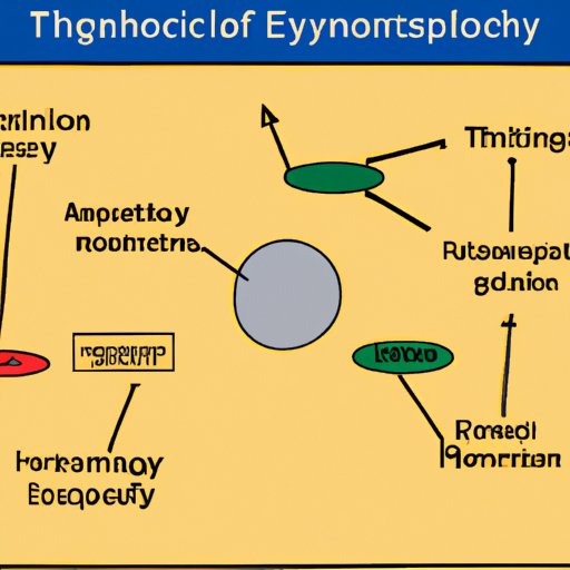 what-is-a-theory-in-science-exploring-the-role-and-impact-of-theory-on