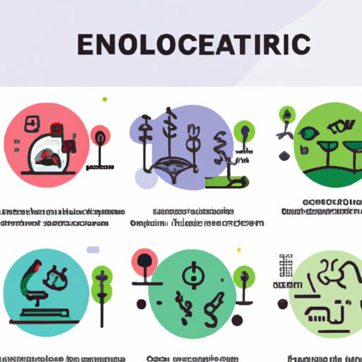 the-science-of-ecosystems-a-comprehensive-guide-the-enlightened-mindset